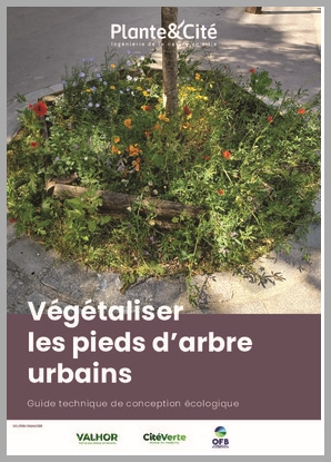 Végétaliser les pieds d&rsquo;arbre urbains. Guide technique de conception écologique